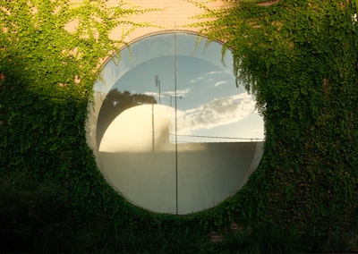 尊龙凯时官方网站平台运营方案：数字化娱乐新生态构建指南